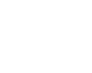 pickleball icon