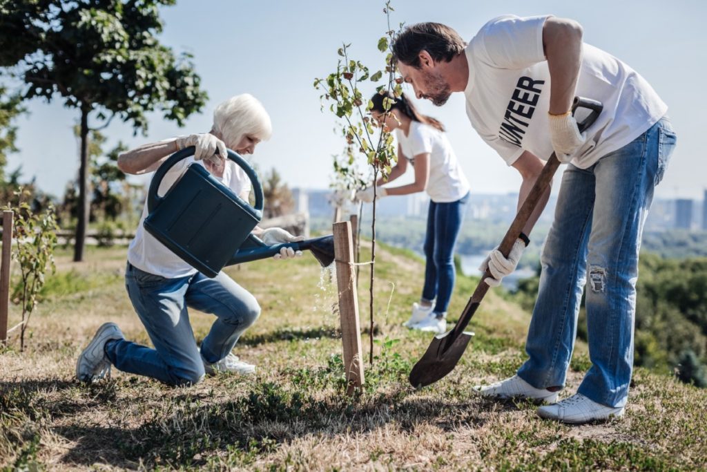 55+ community