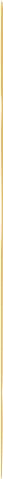 decor line yellow