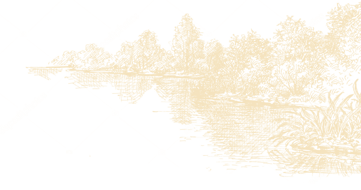 Active Adult Community Homes For Sale Willis TX Chambers Creek