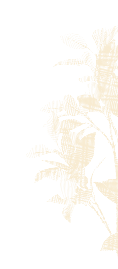 yellow leaves