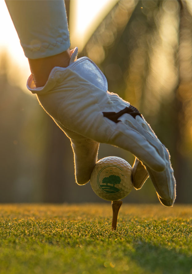chambers creek golf course