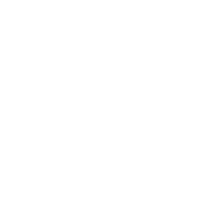 white bamboo