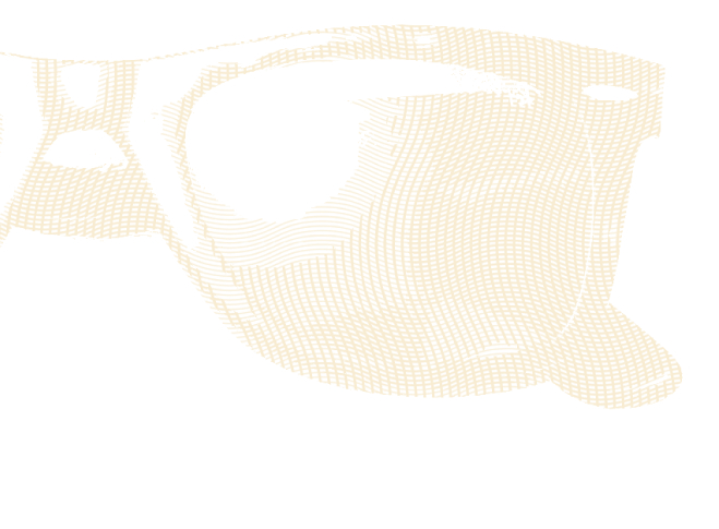 sunglasses icon
