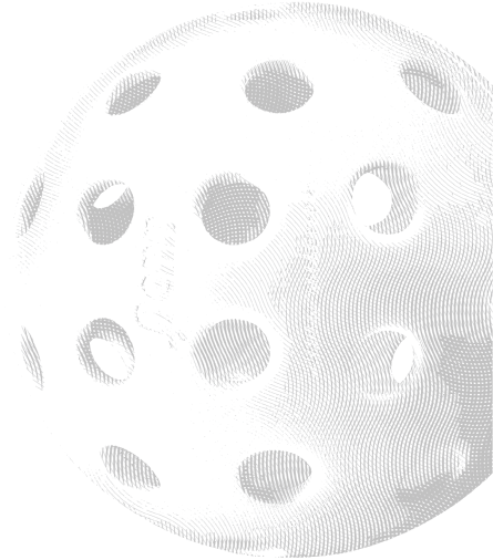 pickleball icon