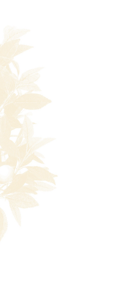 leaves icon