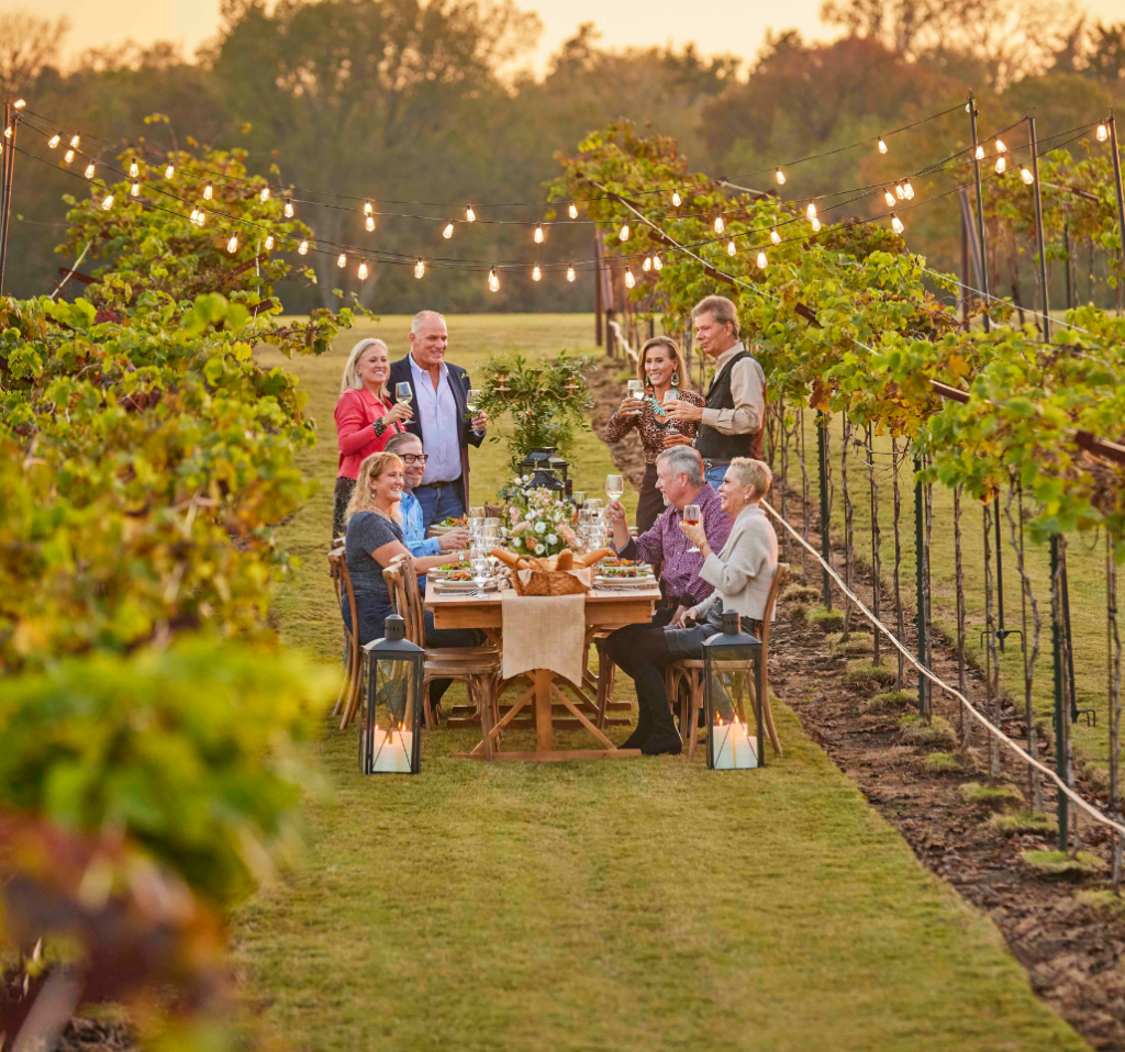 multifunctional golf course - vineyard
