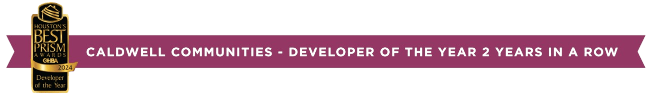 Developer of the Year Banner