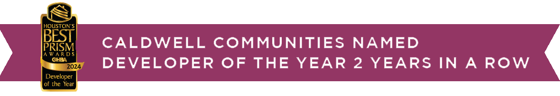 Developer of the Year Banner