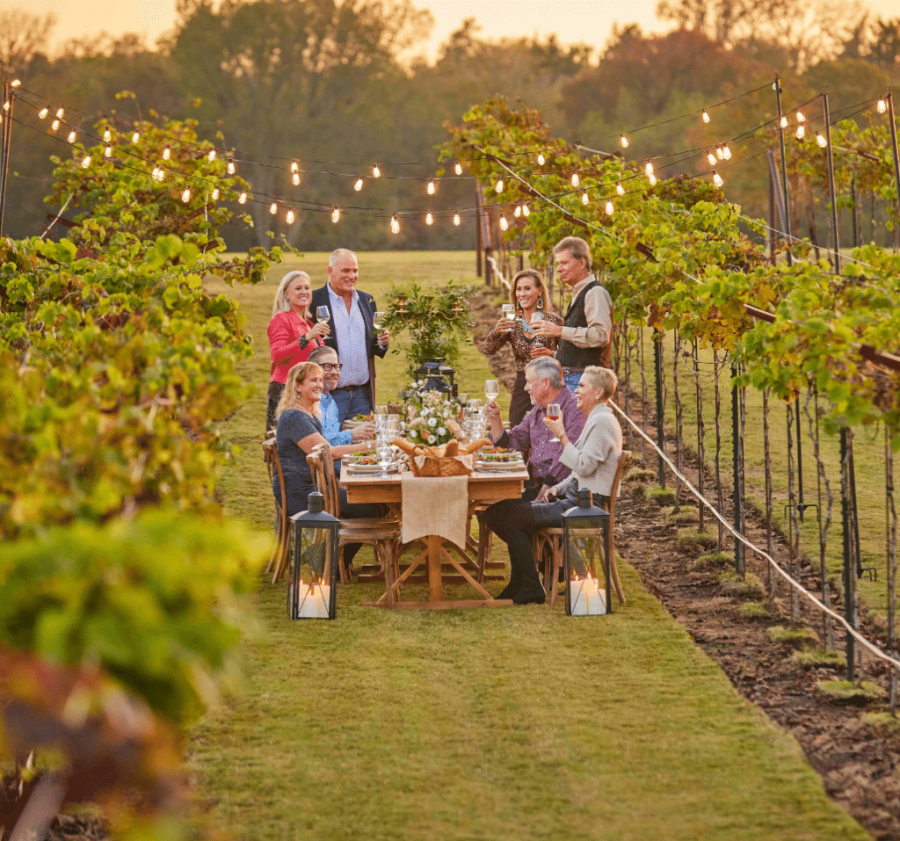 imgi_9_Vineyard-resized-1024x958